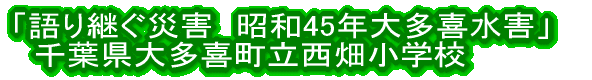 24Nx 